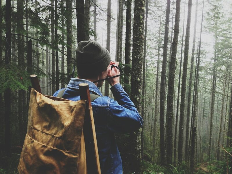 Hiker in a misty forest