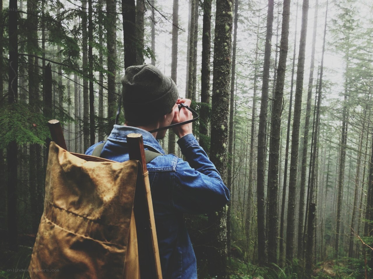 Hiker in a misty forest