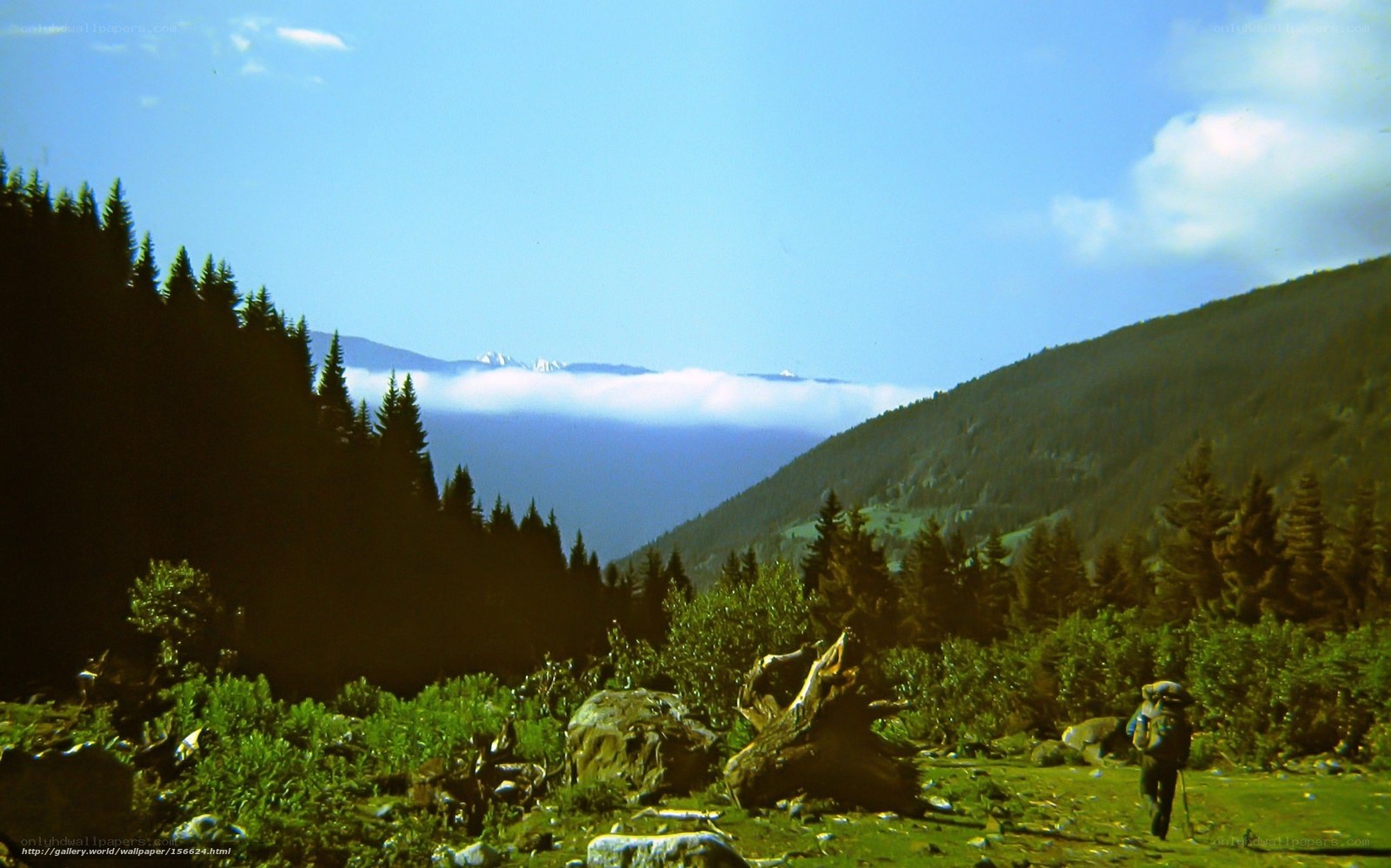 Hiker in mountain valley