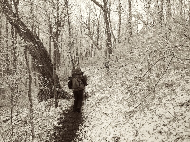 Hiker in snowy forest