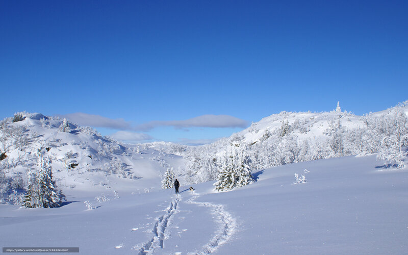 Hiker in snowy landscape