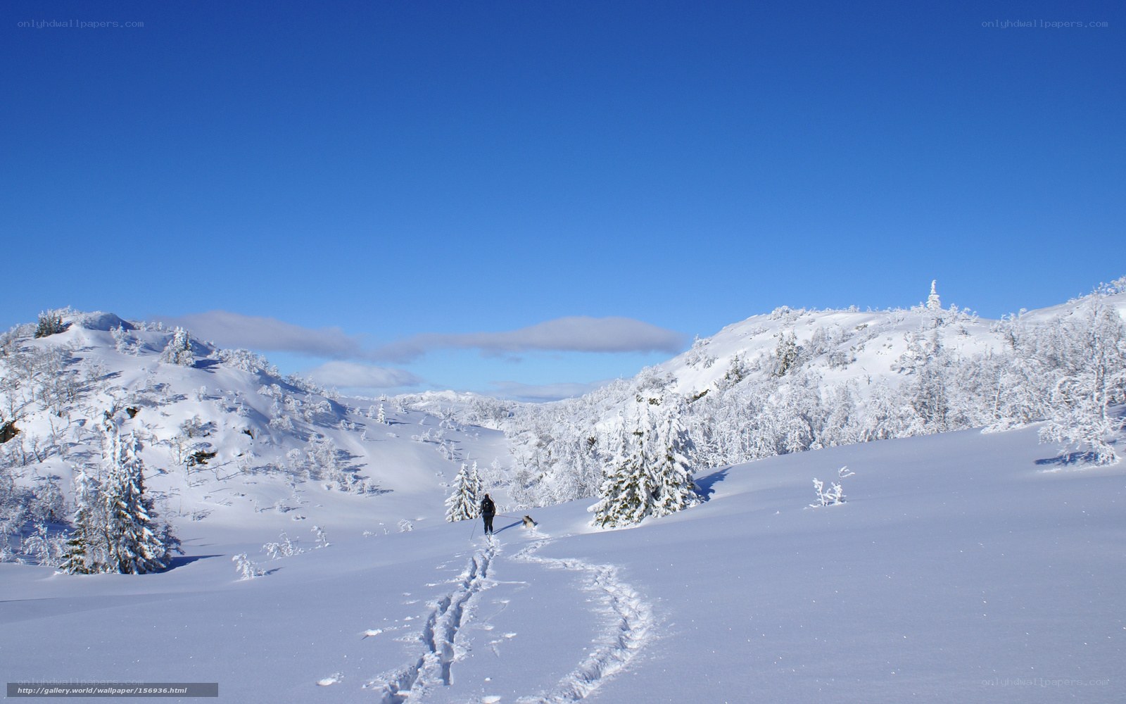 Hiker in snowy landscape
