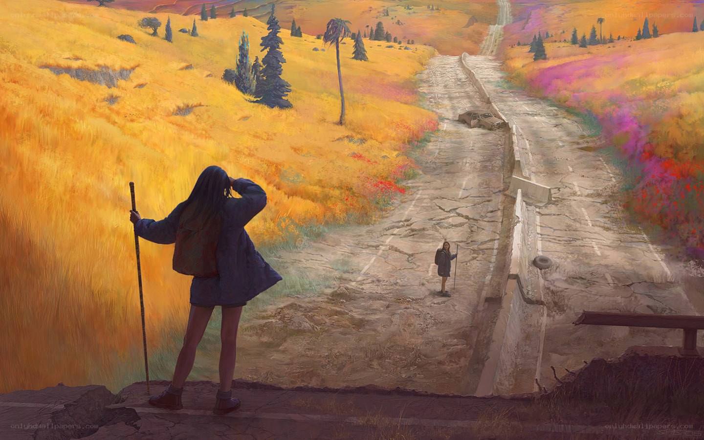 Hiker on a cracked road