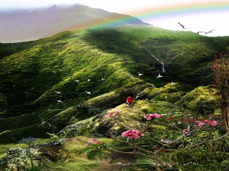 Hiker on a mountain path