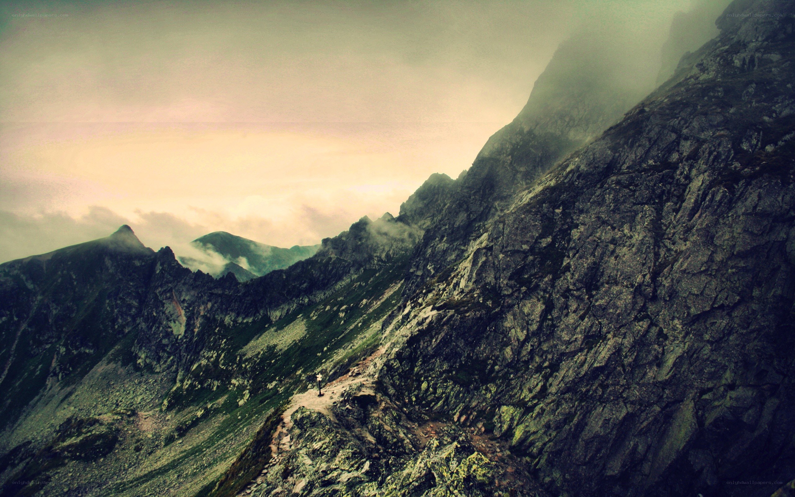 Hiker on a mountain trail