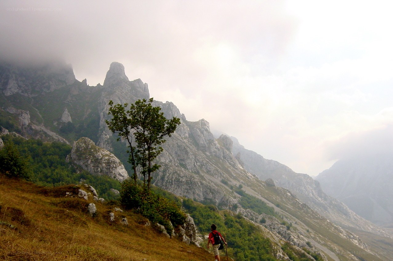 Hiker on a mountain trail