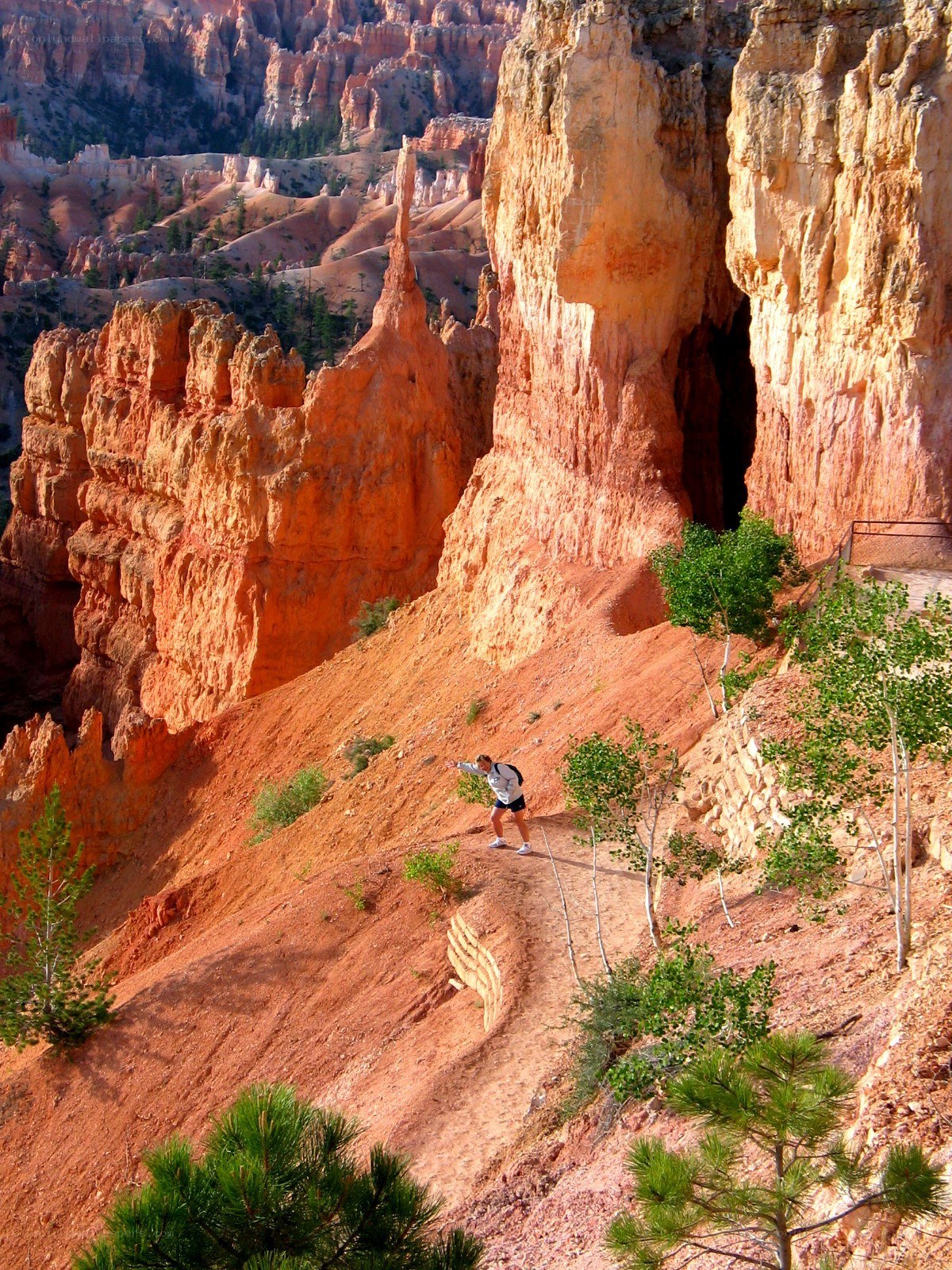 Hiker on canyon trail