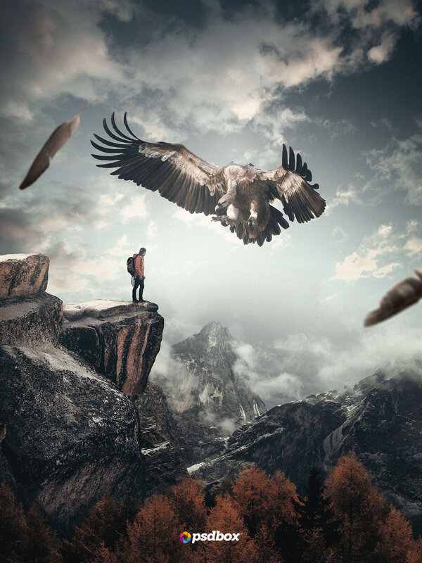 Hiker on Cliff with Vulture