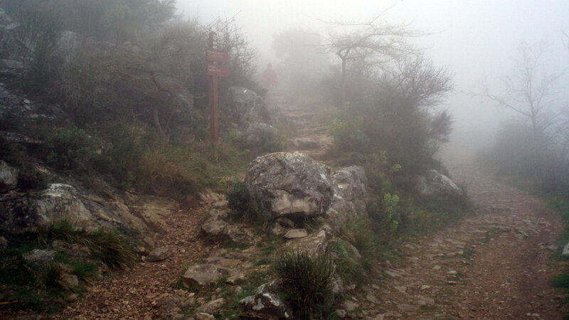 Hiker on Foggy Trail