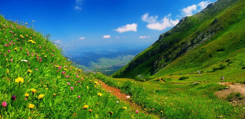 Hiker on Mountain Trail — Green, Serene, Summer