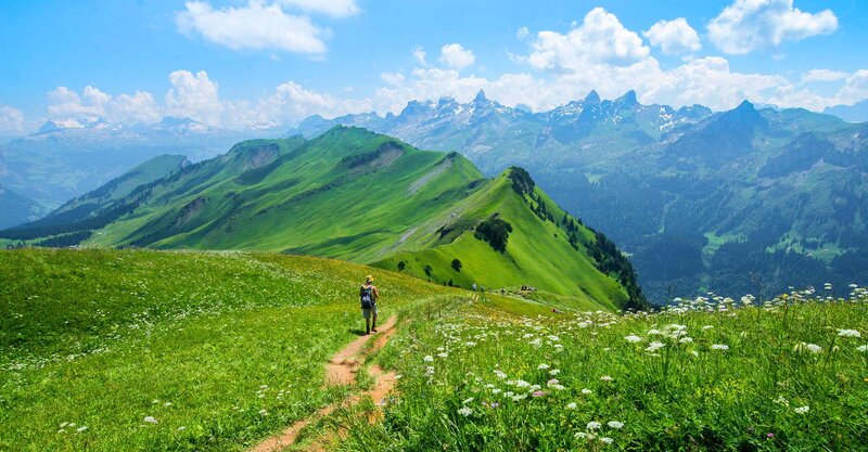 Hiker on Mountain Trail — Green, Serene
