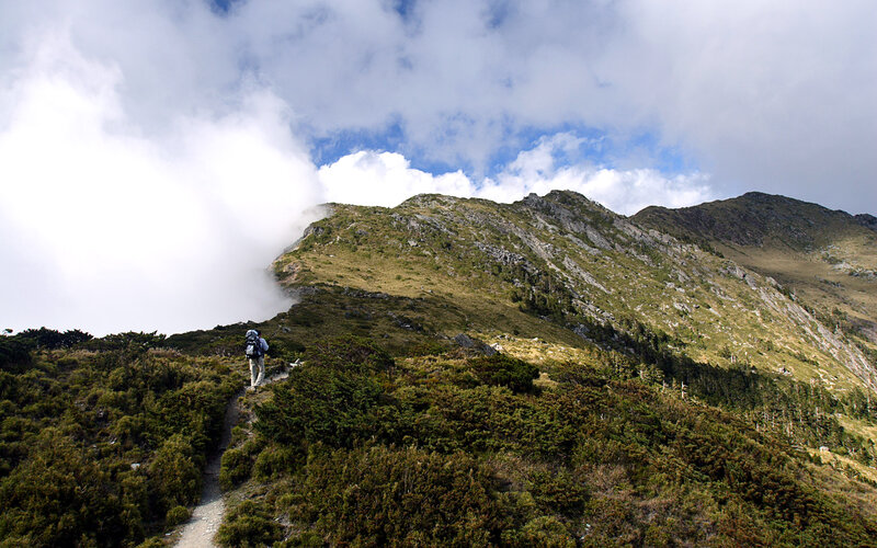 Hiker on Mountain Trail — Green