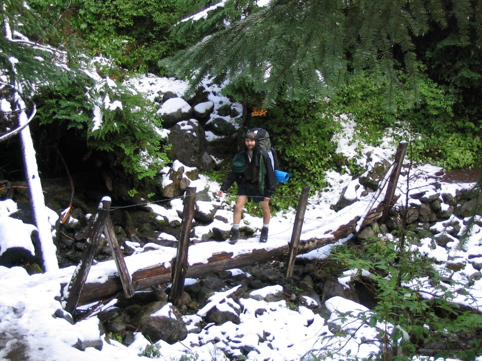 Hiker on snowy log bridge