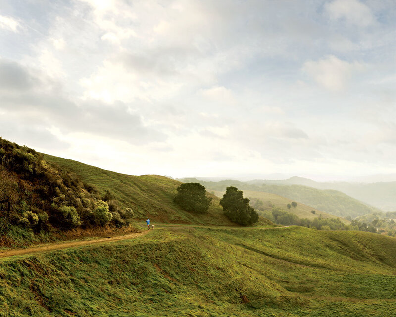 Hiker with dog on a hillside trail