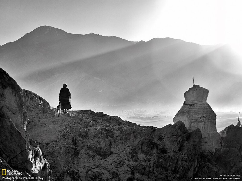 Hiker with dog on mountain trail