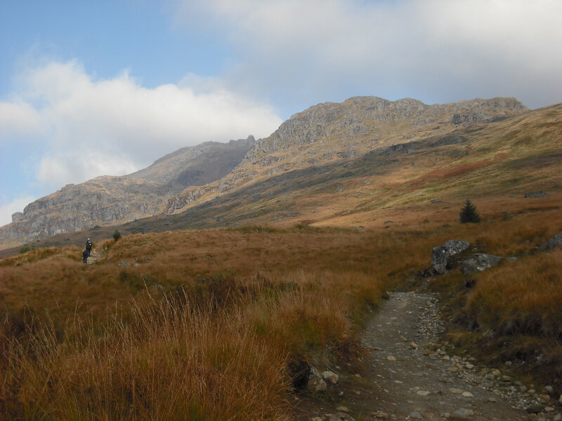 Hiker with Dog on Trail