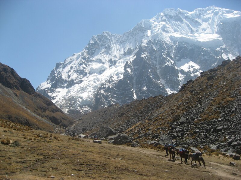 Hikers and pack animals in a mountain valley