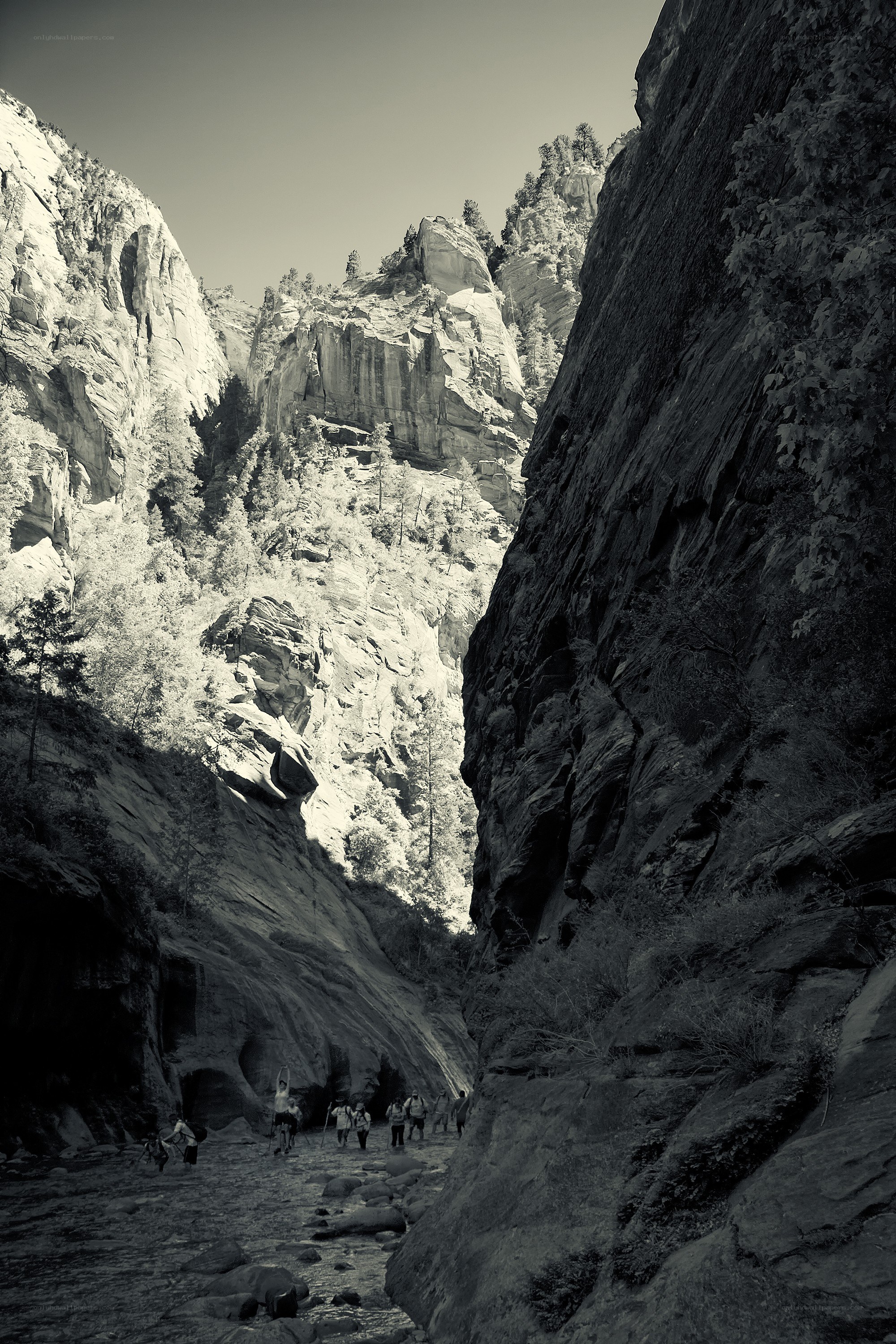 Hikers in a canyon