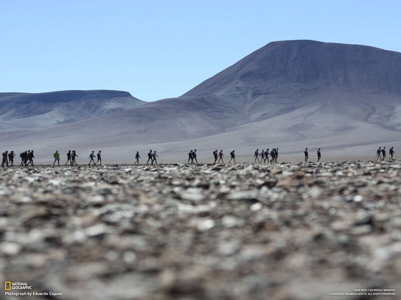 Hikers in a desert landscape