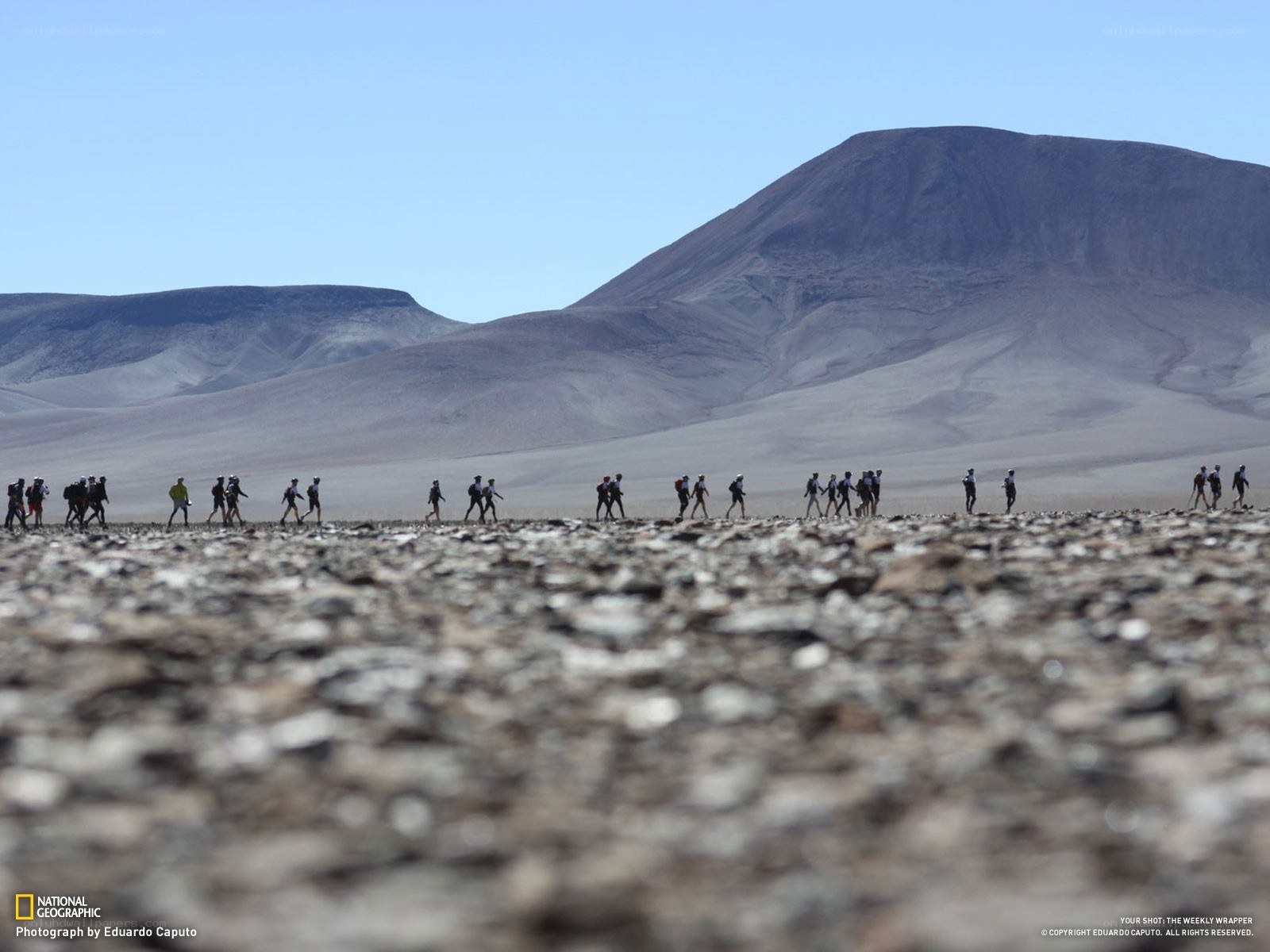 Hikers in a desert landscape