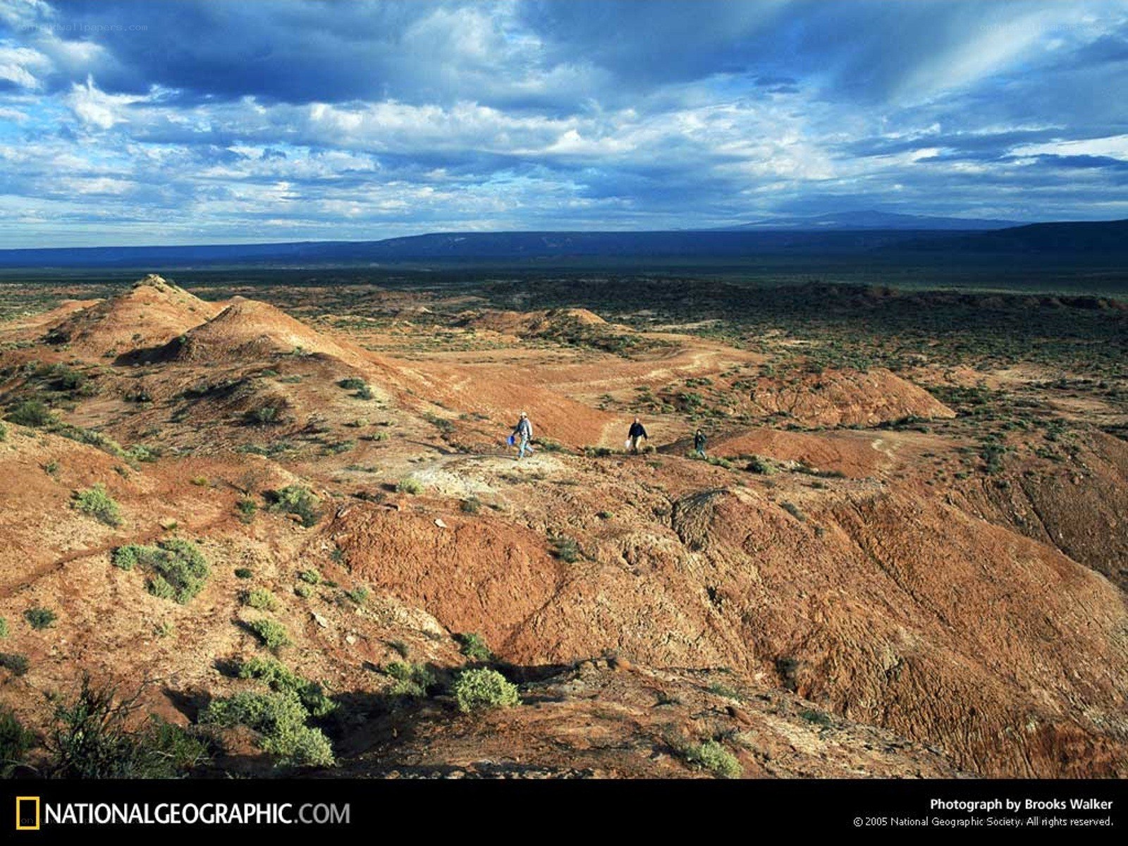 Hikers in a desert landscape