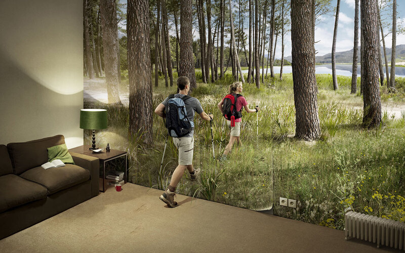 Hikers in forest from living room