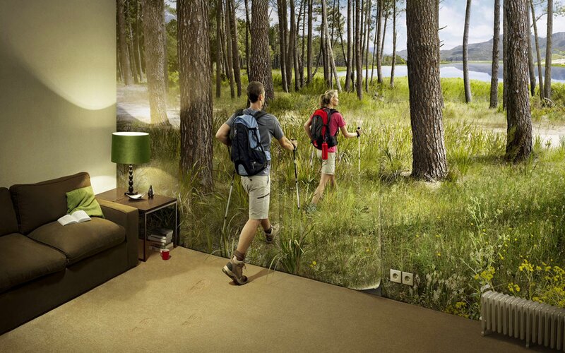 Hikers in Forest — Green, Serene