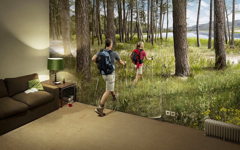 Hikers in forest scene