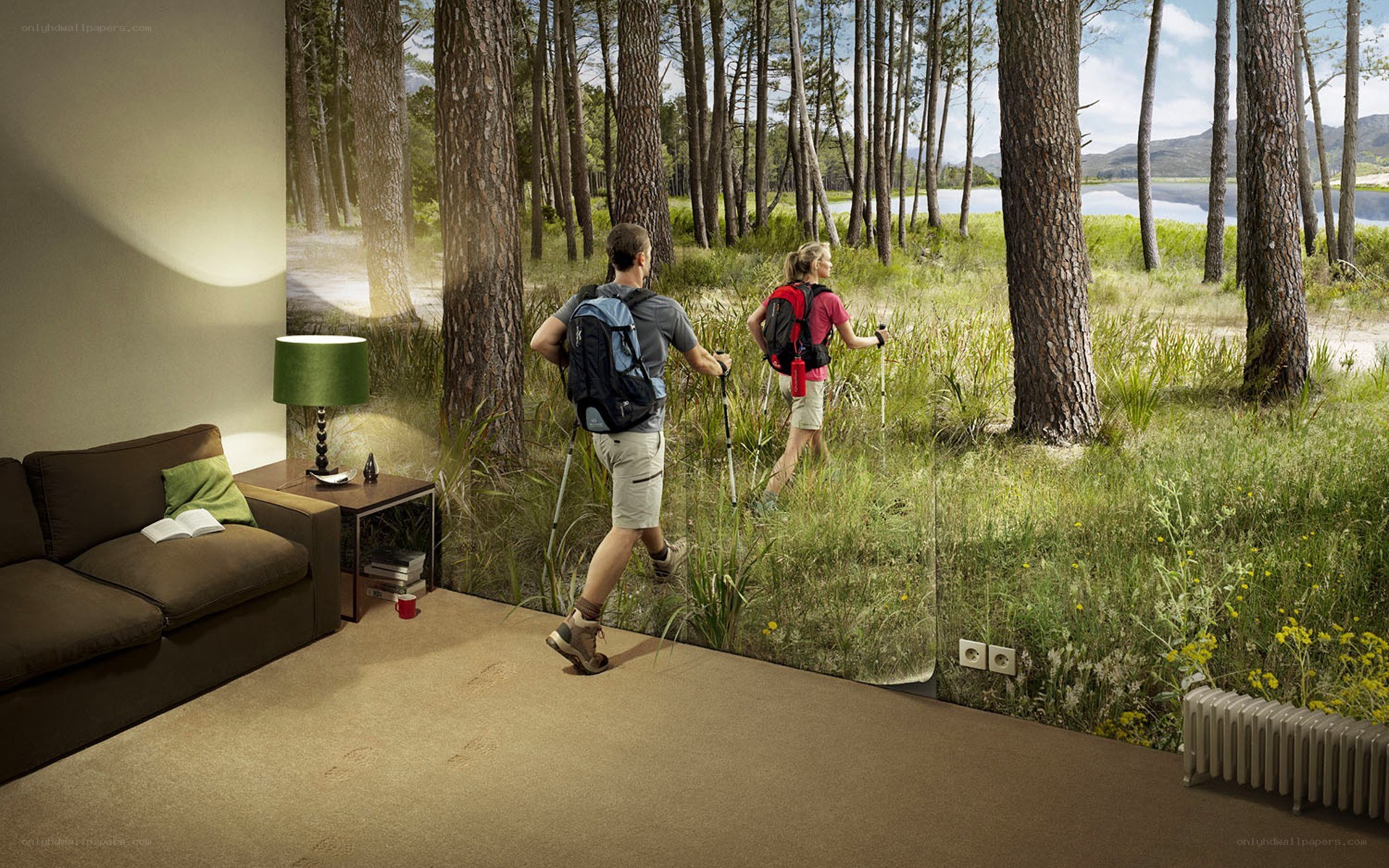Hikers in forest scene