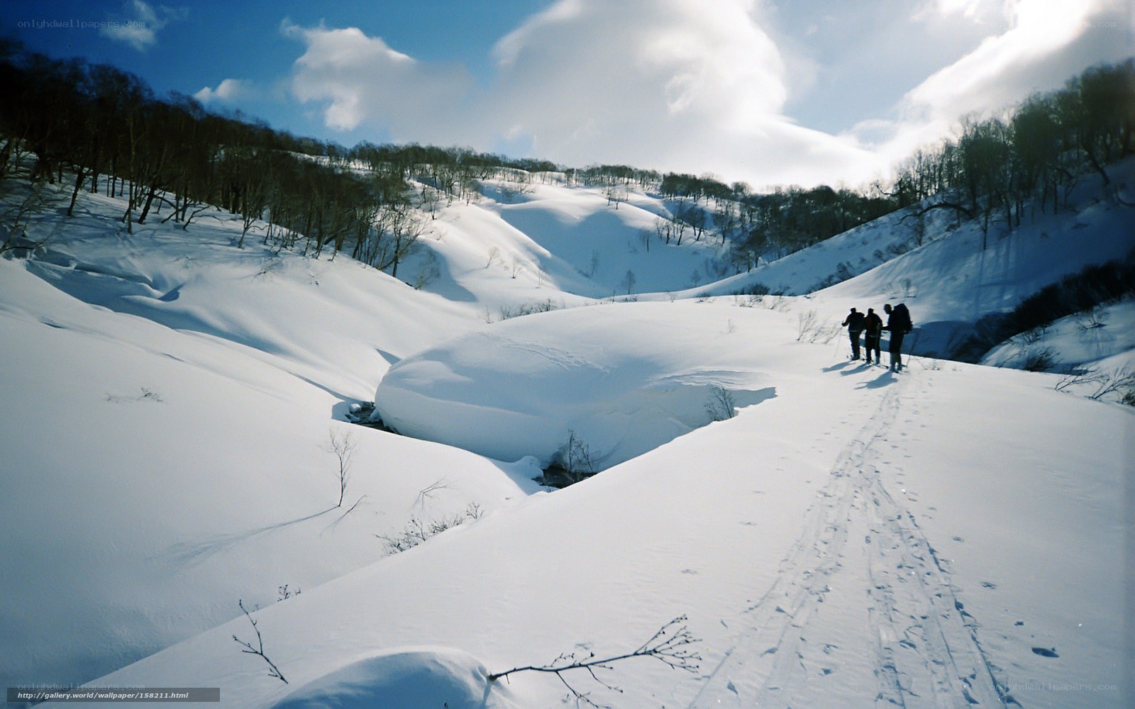 Hikers in snowy valley