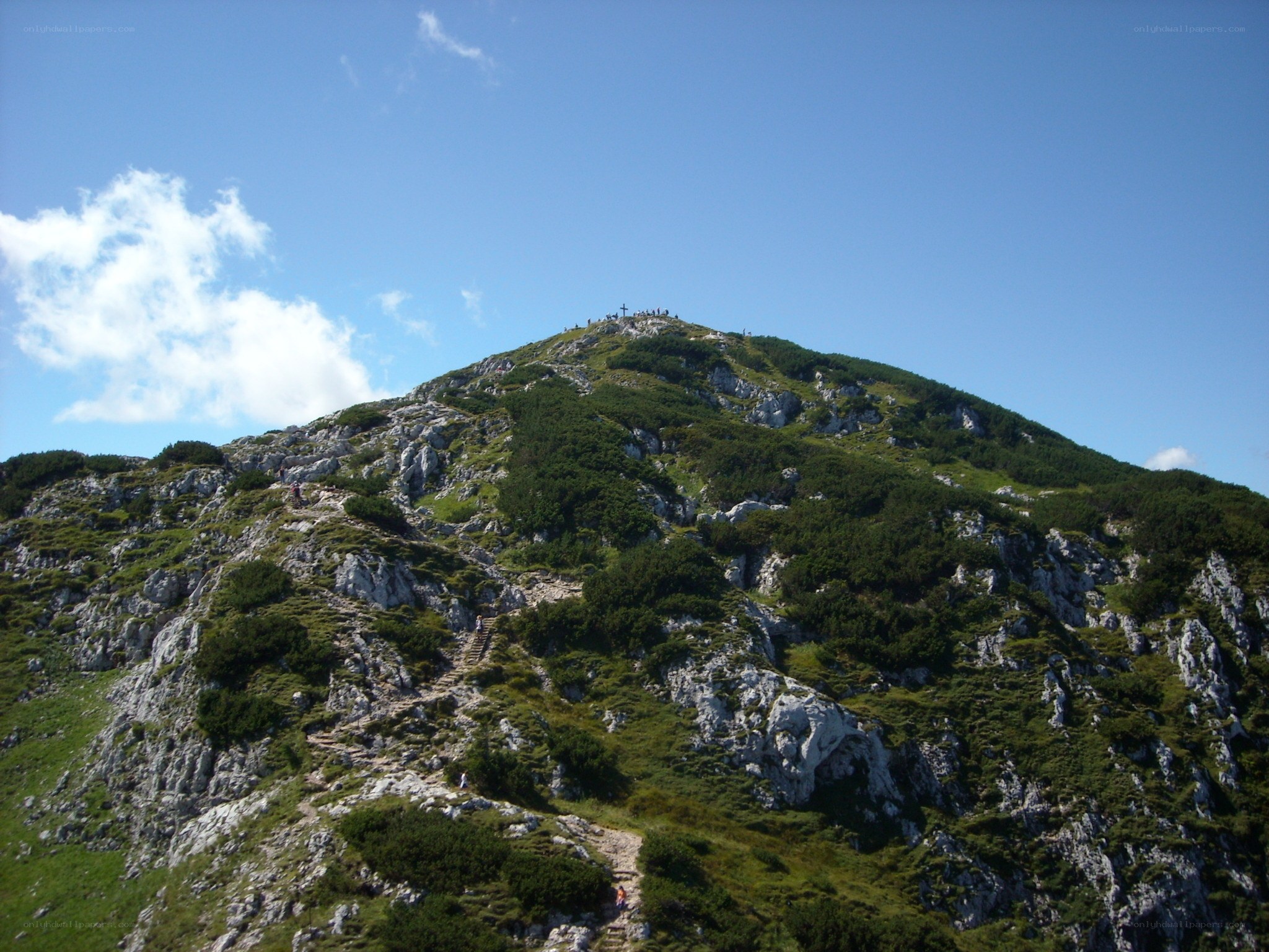 Hikers on a mountain peak