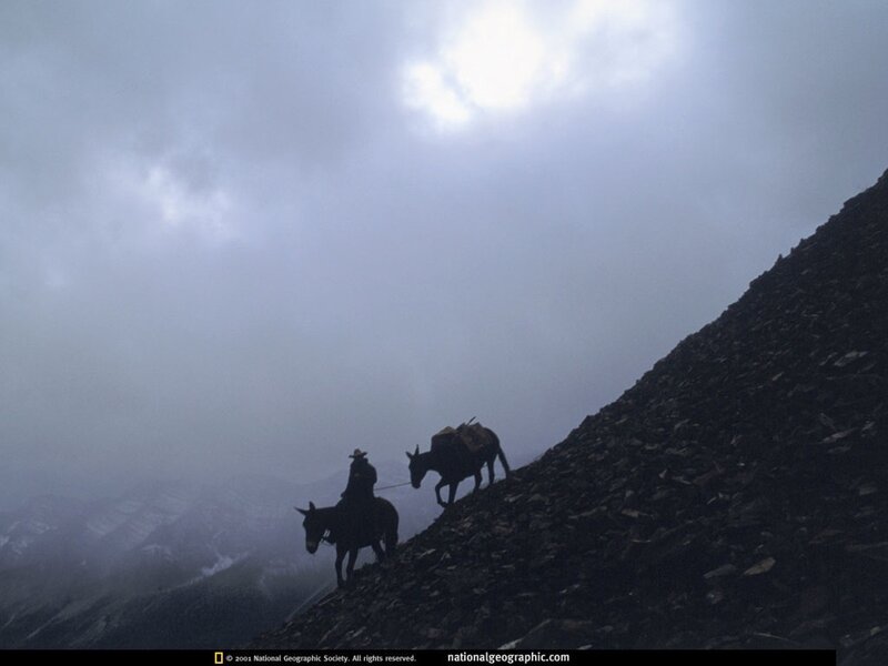 Hikers on a mountain trail