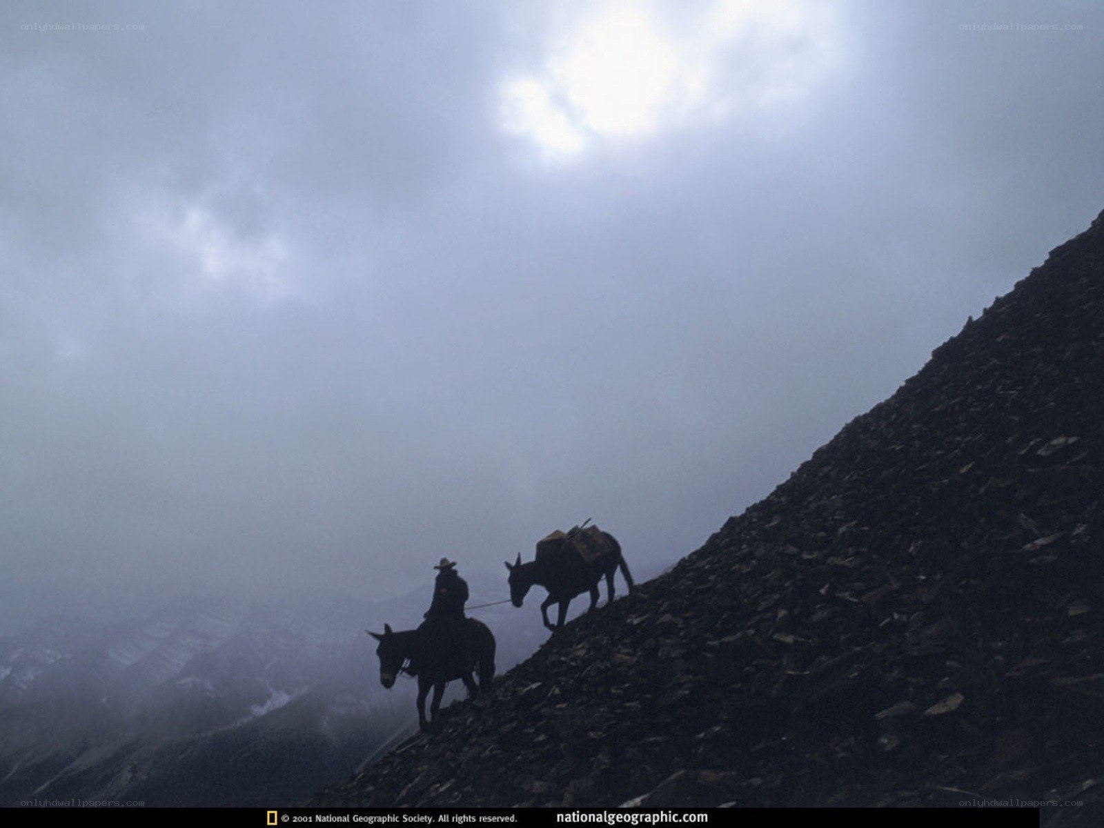 Hikers on a mountain trail