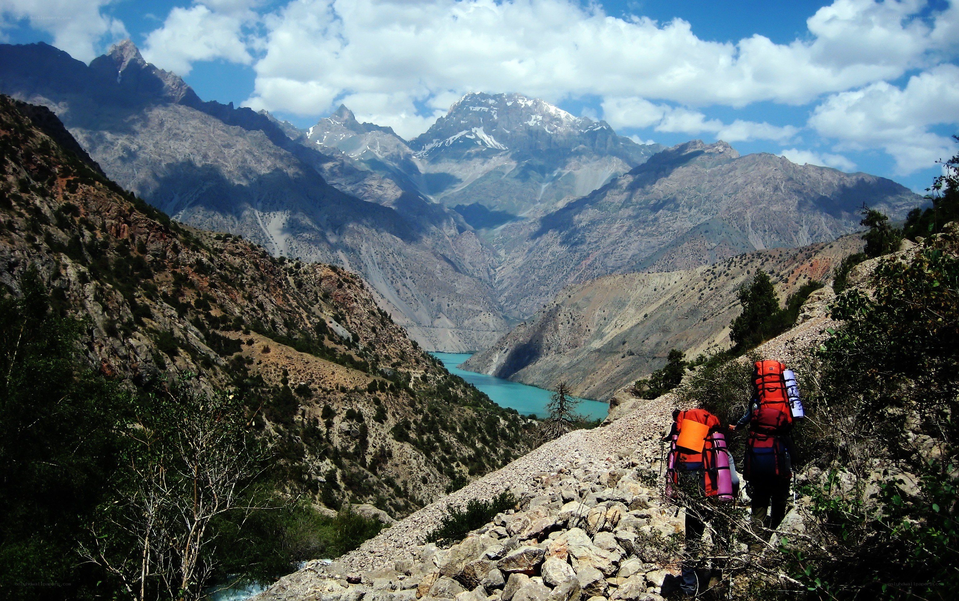 Hikers on a mountain trail