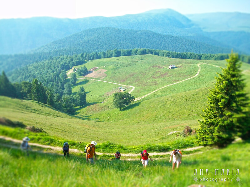 Hikers on a Mountain Trail — Green, Serene