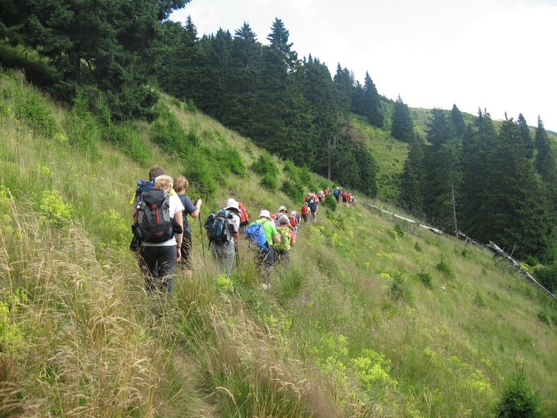 Hikers on a Mountain Trail — Green