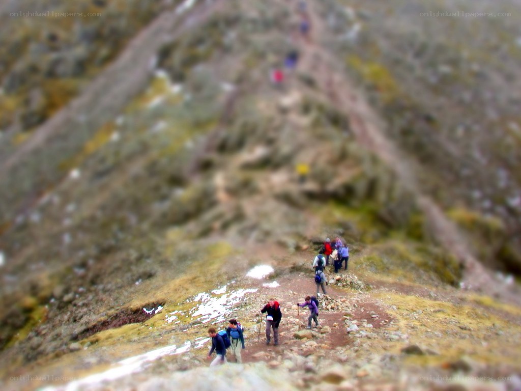 Hikers on a mountain trail