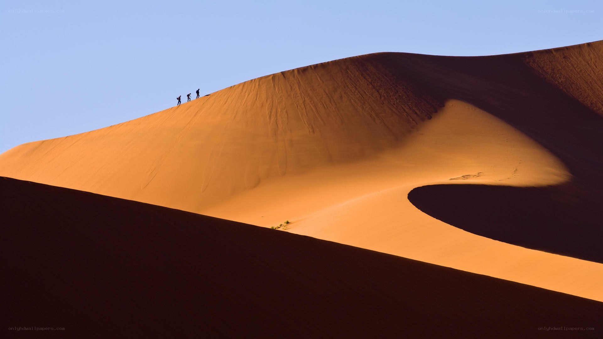 Hikers on a sand dune