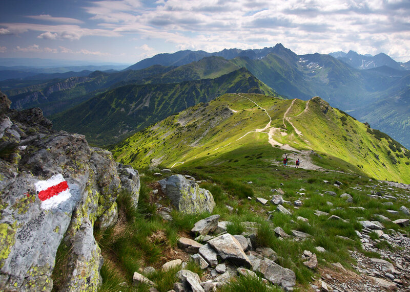 Hikers on Mountain Trail — Green, Serene, Afternoon