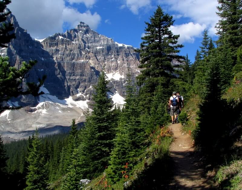 Hikers on Mountain Trail — Green, Serene