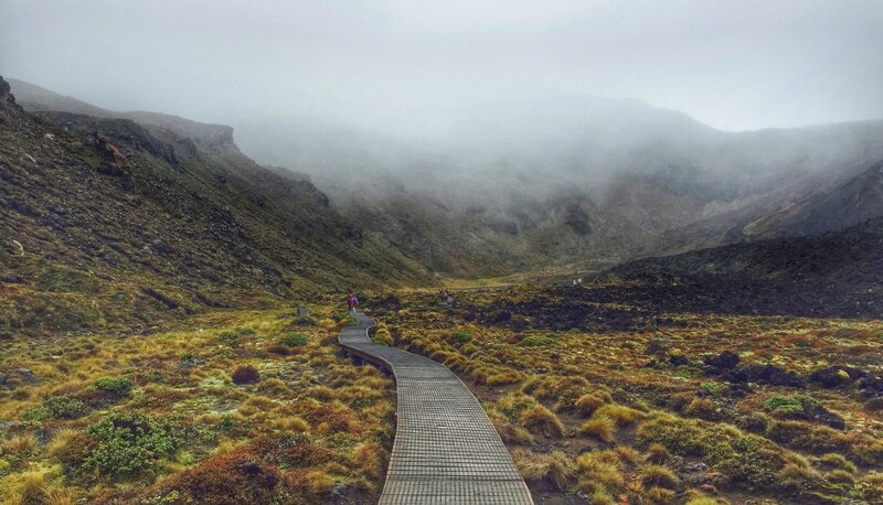 Hikers on Wooden Path