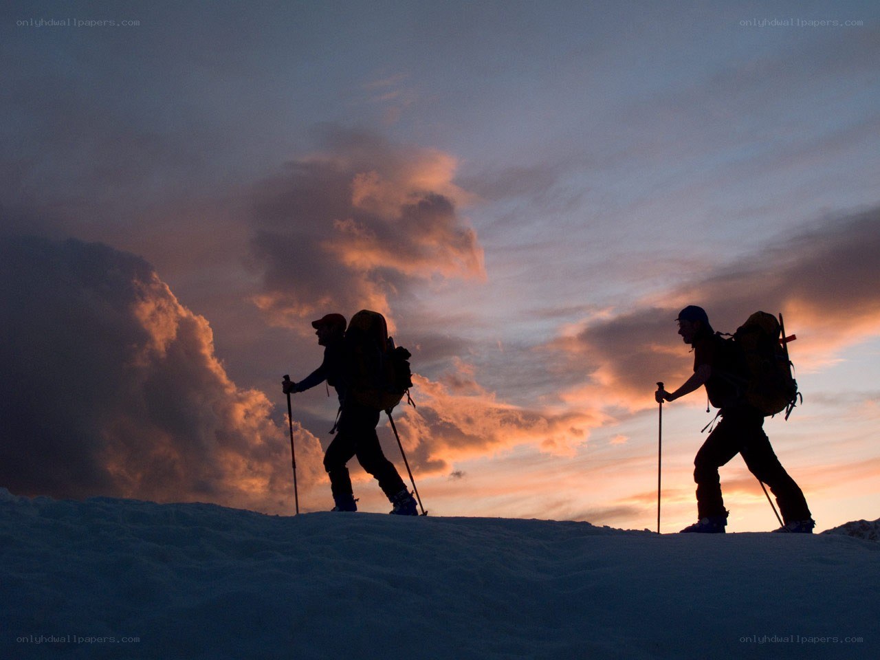 Hikers silhouetted at sunset
