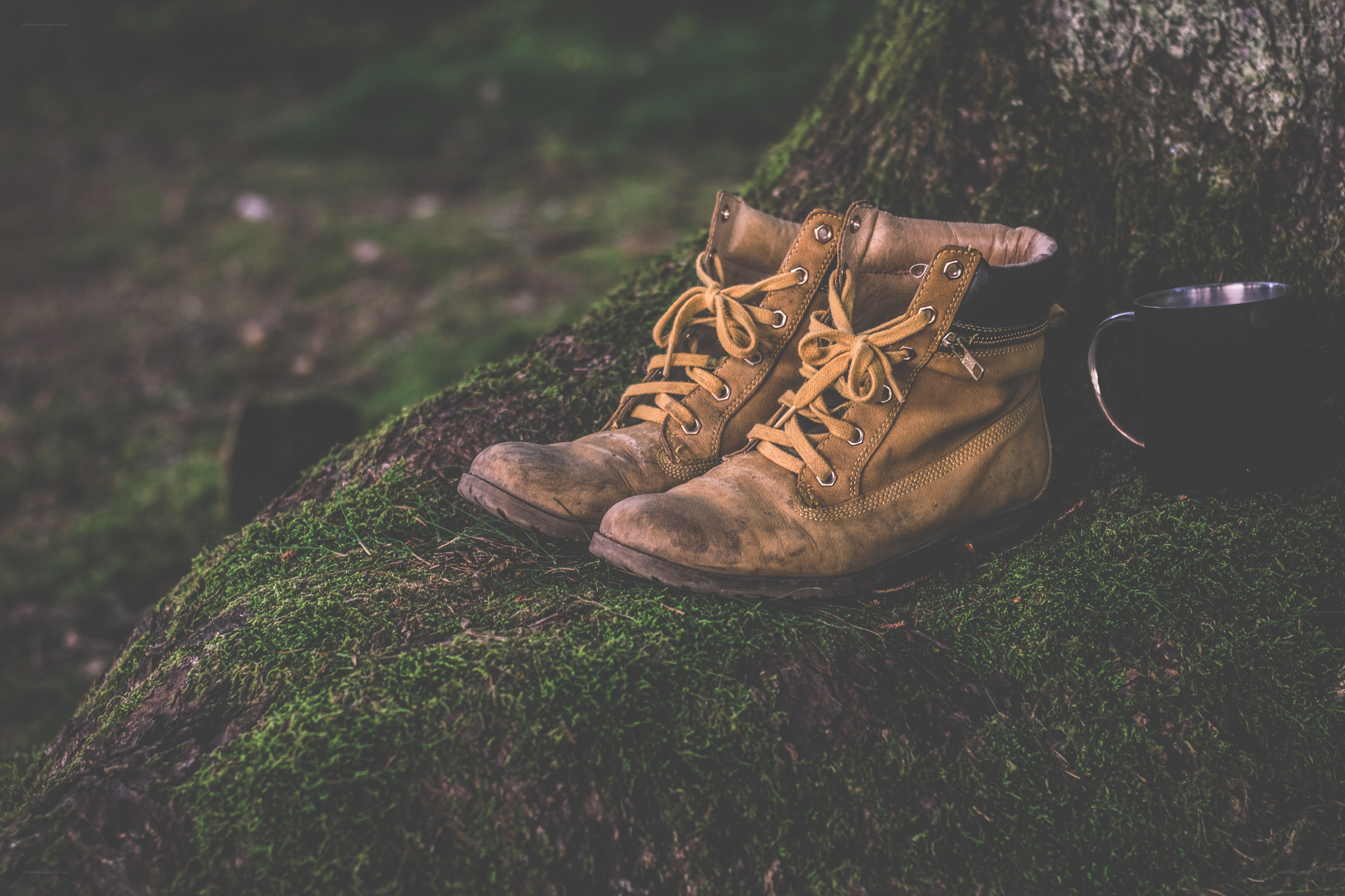 Hiking boots on mossy rock
