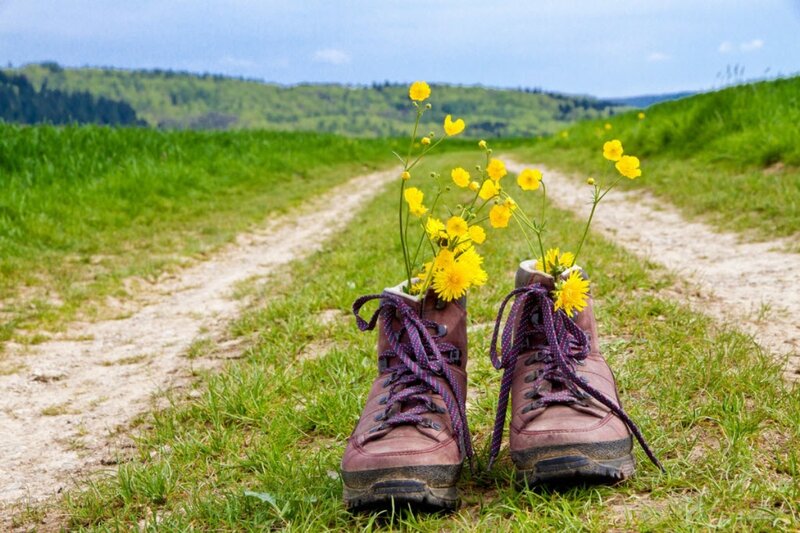 Hiking Boots with Flowers