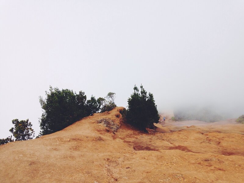 Hiking trail in foggy landscape