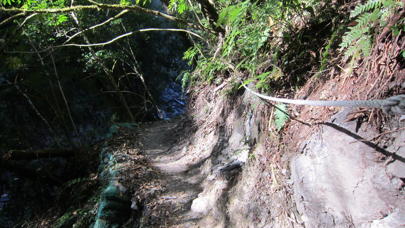 Hiking Trail in Forest — Green, Natural