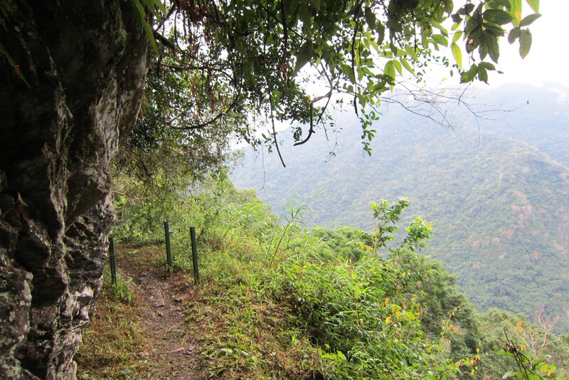 Hiking Trail in Forest — Green, Serene
