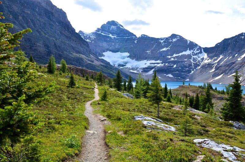 Hiking Trail in Mountains — Green