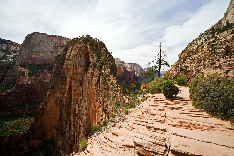 Hiking trail in Zion National Park