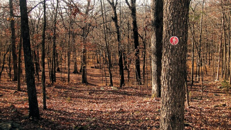 Hiking Trail Marker